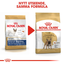 Royal Canin French Bulldog Adult