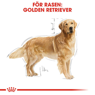 Royal Canin Golden Retriever Adult