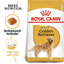 Royal Canin Golden Retriever Adult