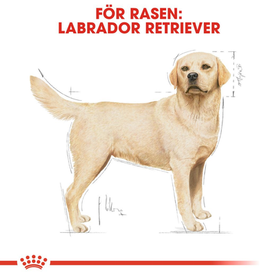 Royal Canin Labrador Retriever Adult