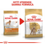 Royal Canin Poodle Adult