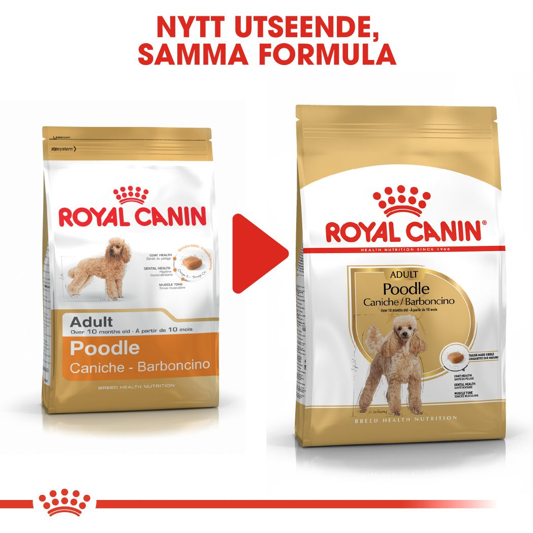 Royal Canin Poodle Adult