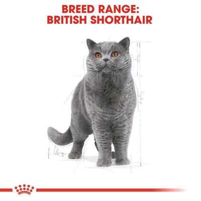 Royal Canin British Shorthair Adult