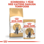Royal Canin British Shorthair Adult