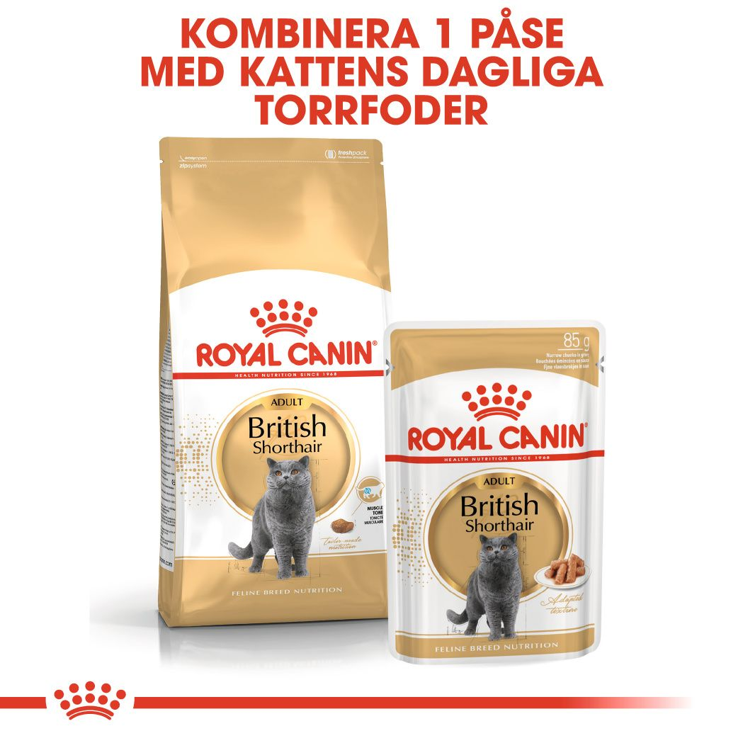 Royal Canin British Shorthair Adult