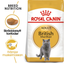Royal Canin British Shorthair Adult