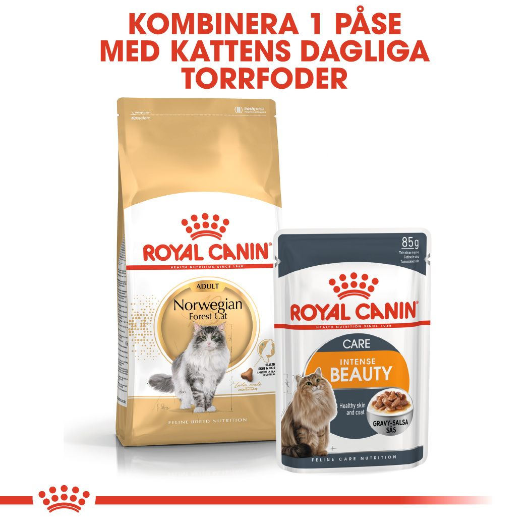 Royal Canin Norwegian Forest Cat Adult