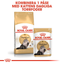 Royal Canin Persian Adult