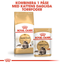 Royal Canin Maine Coon Adult Gravy
