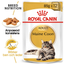 Royal Canin Maine Coon Adult Gravy