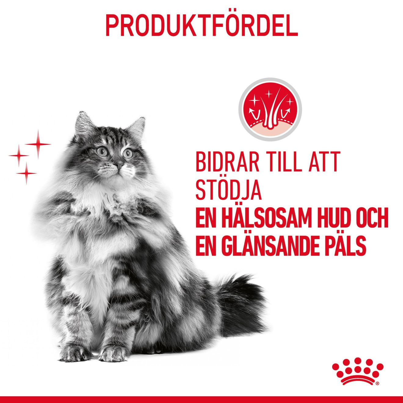 Royal Canin Hair & Skin Gravy