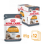 Royal Canin Hair & Skin Gravy