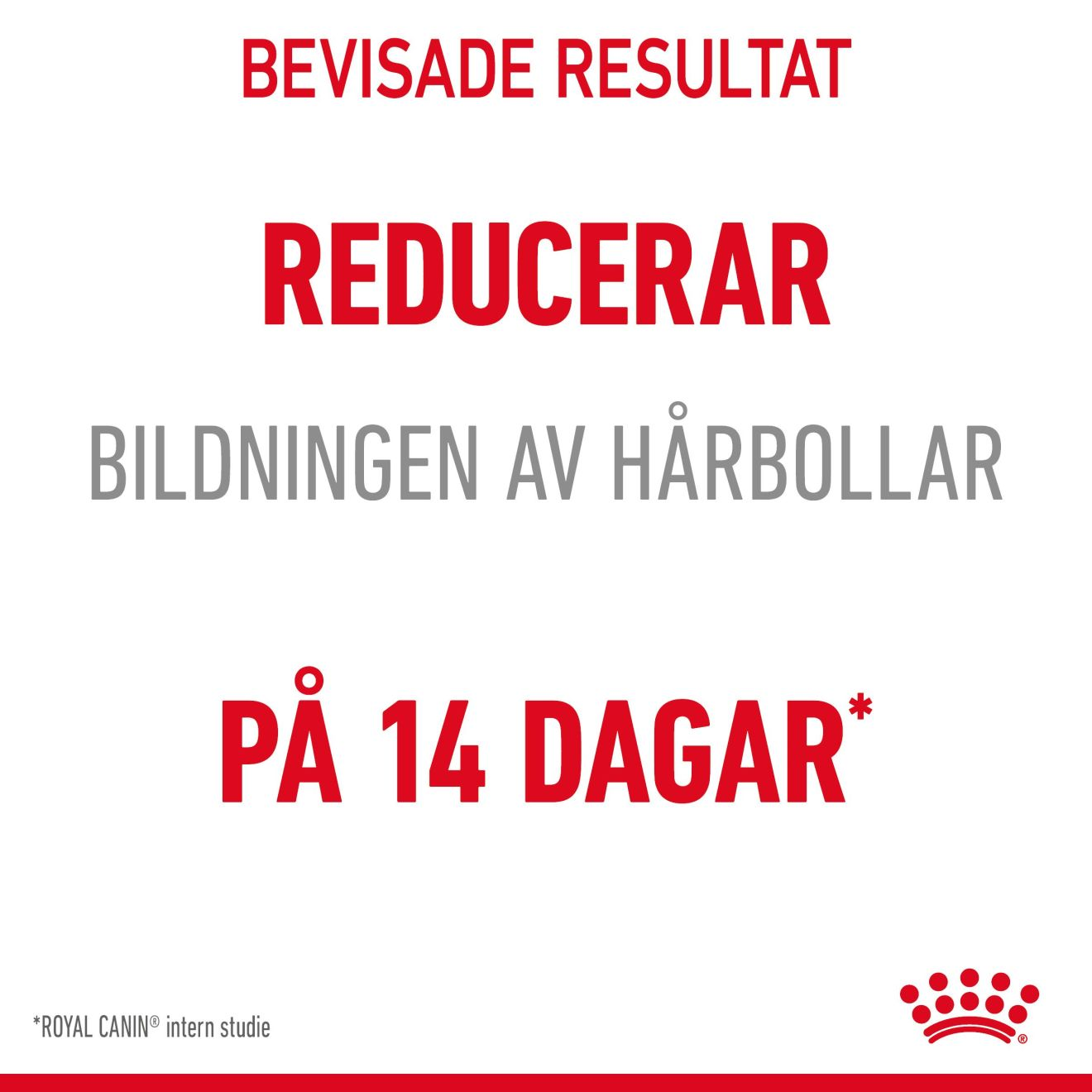 Royal Canin Hairball Care