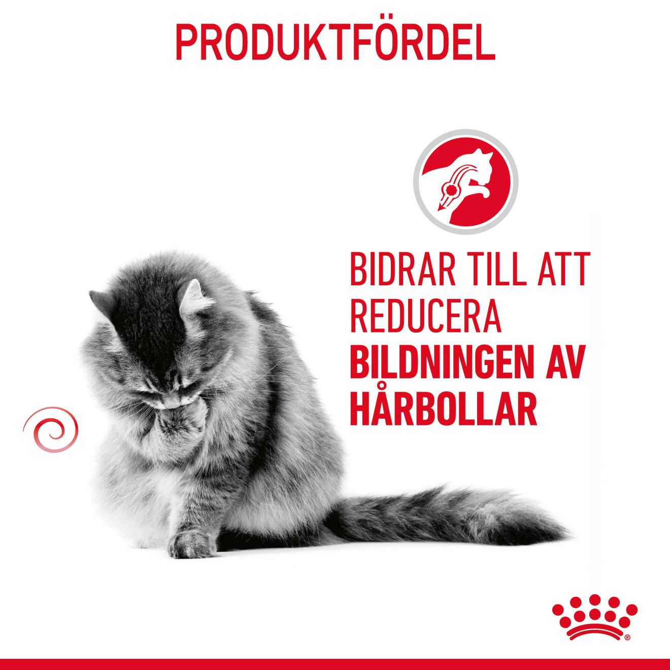 Royal Canin Hairball Care