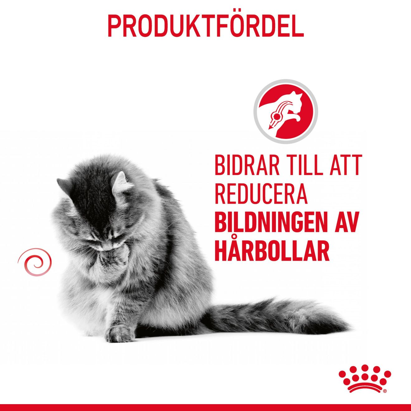 Royal Canin Hairball Care Gravy
