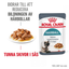 Royal Canin Hairball Care Gravy