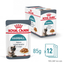 Royal Canin Hairball Care Gravy