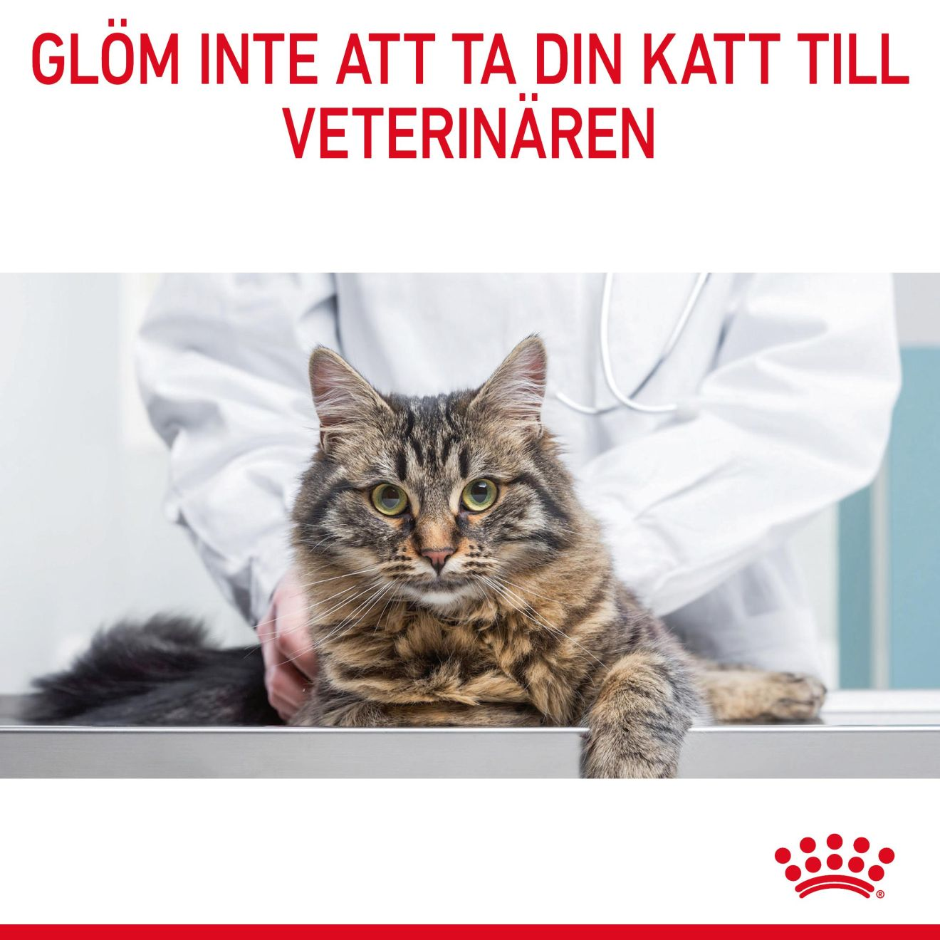 Royal Canin Light Weight Care