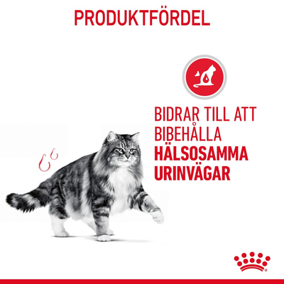 Royal Canin Urinary Care Gravy