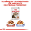Royal Canin Ageing 12+ Gravy