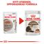 Royal Canin Ageing 12+ Gravy