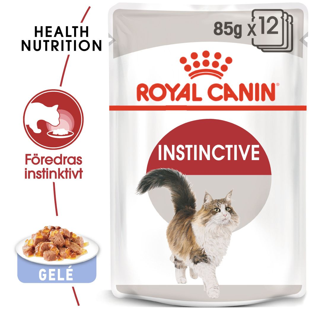 Royal Canin Instinctive Jelly