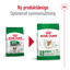 Royal Canin Mini Ageing 12+
