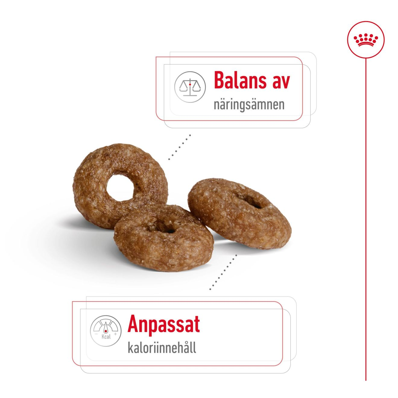 Royal Canin Mini Ageing 12+