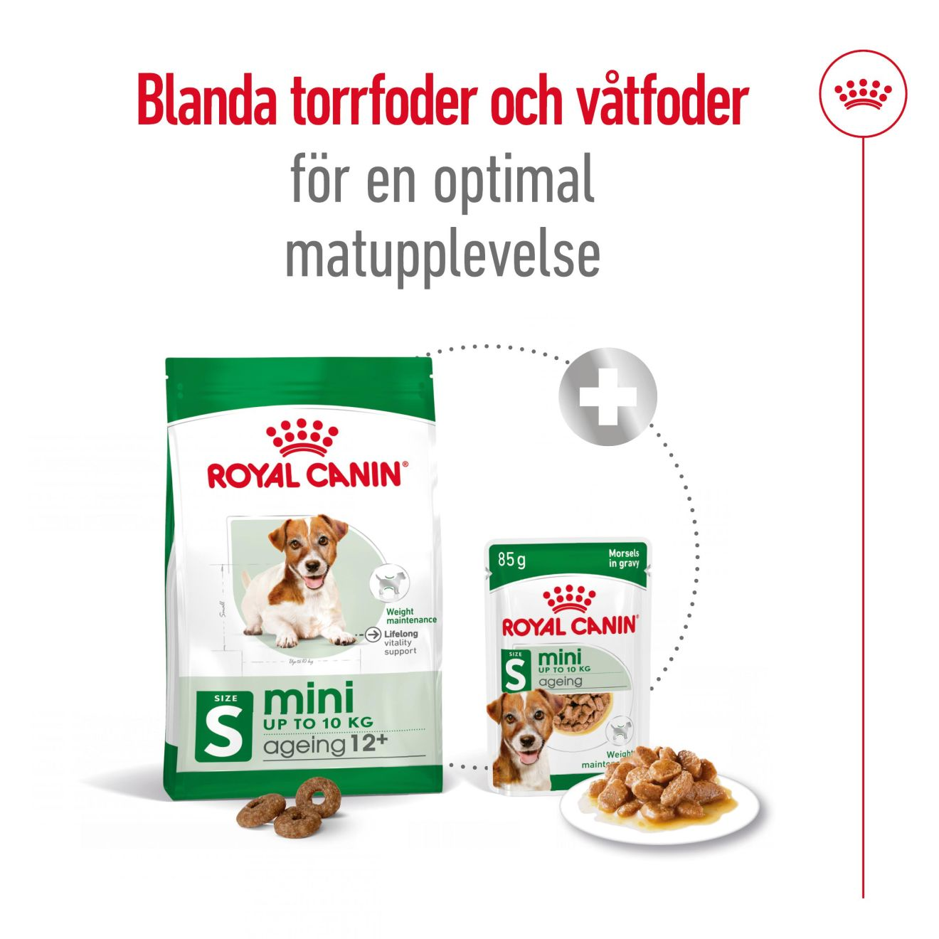 Royal Canin Mini Ageing 12+