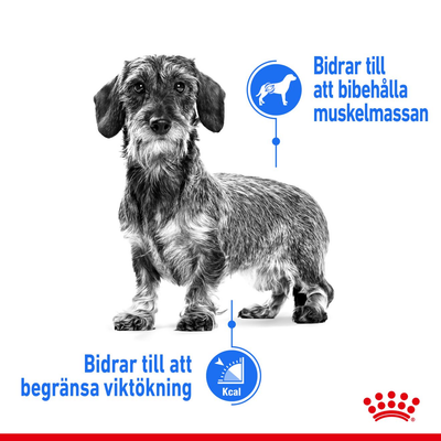 Royal Canin Light Weight Care Mini