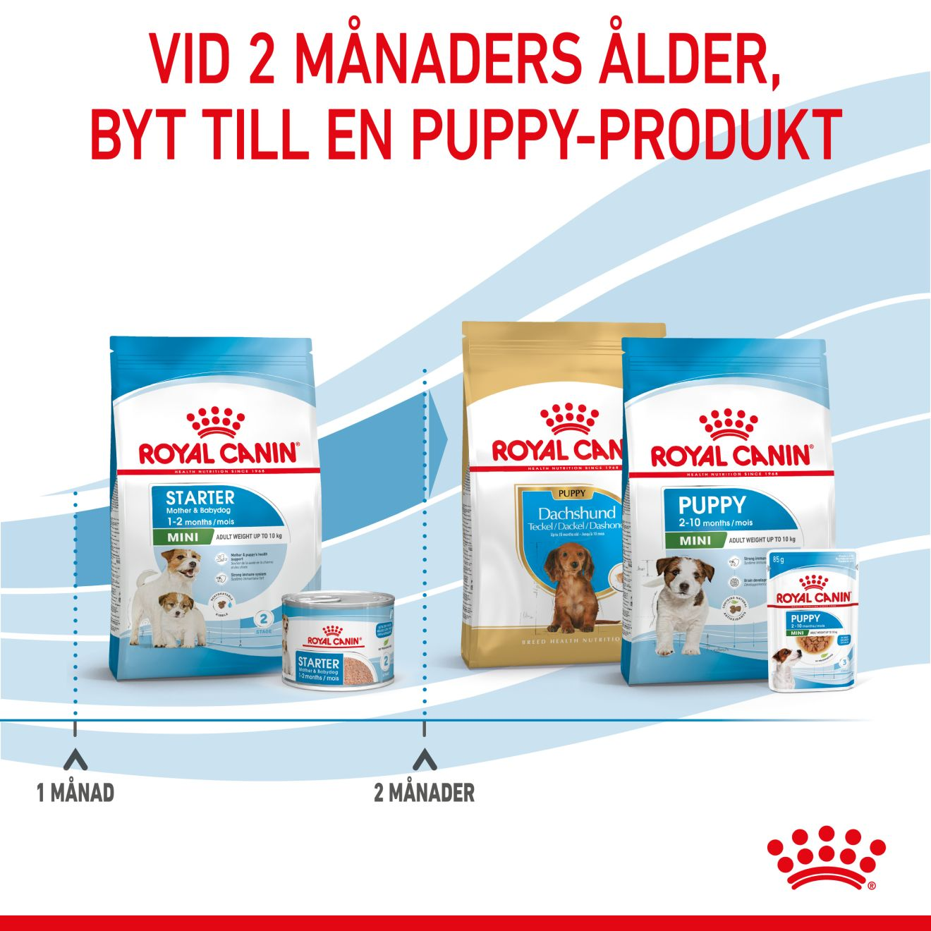 Royal Canin Mini Starter Mother & Babydog
