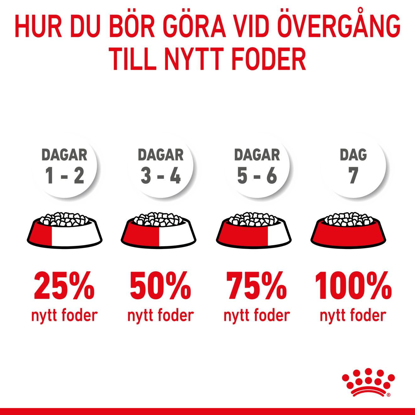 Royal Canin Mini Starter Mother & Babydog