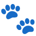 Paw print